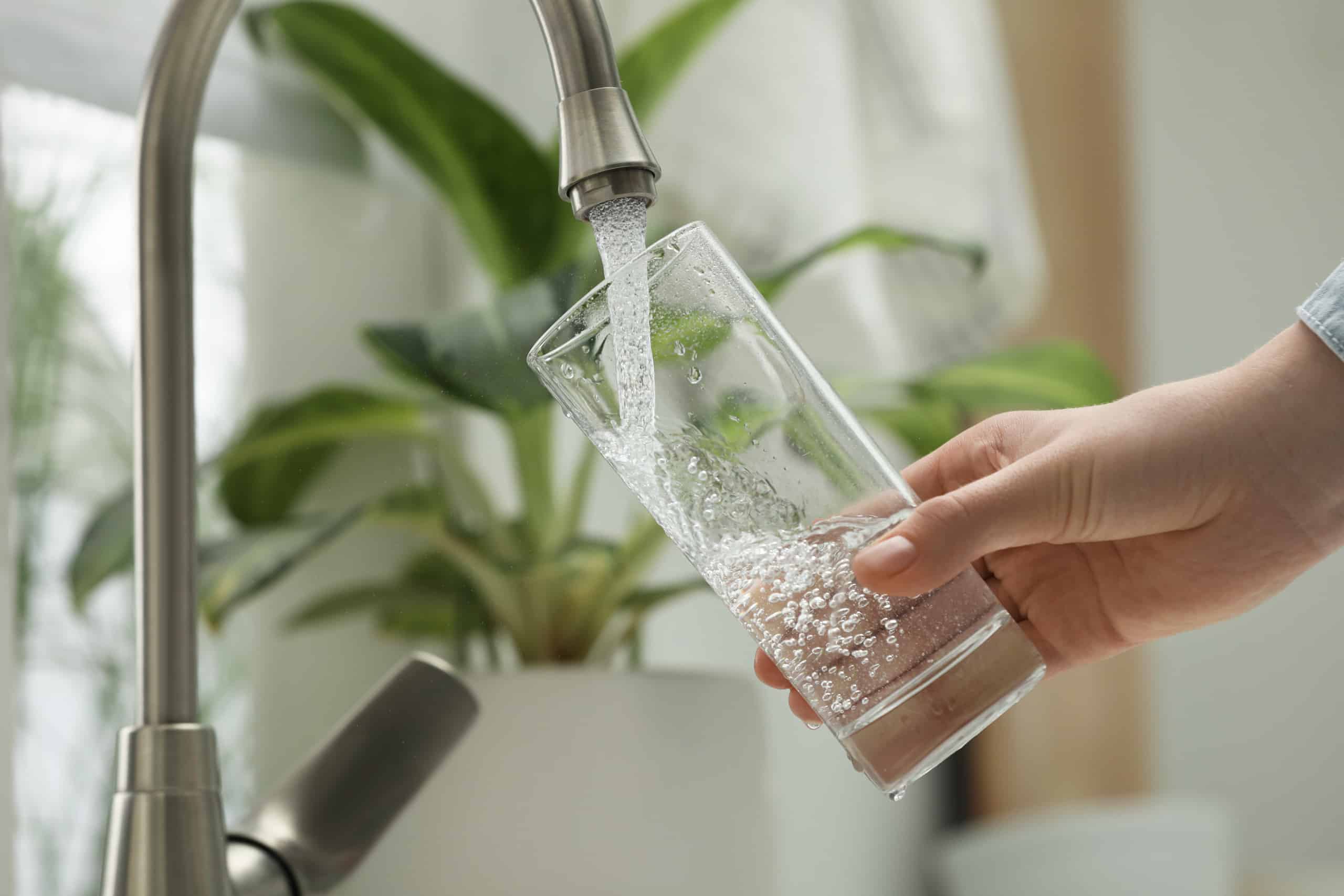A hand holds a clear glass under a kitchen faucet, filling it with water. A green potted plant is visible in the blurred background near a window.
