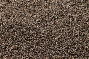 Close-up view of many tiny, round, dark brown or black seeds tightly packed together, creating a textured surface.