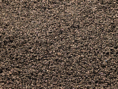 Close-up view of many tiny, round, dark brown or black seeds tightly packed together, creating a textured surface.